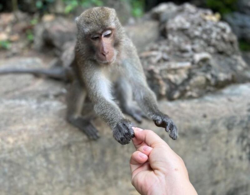 Krabi: ATV Adventure - FAQ