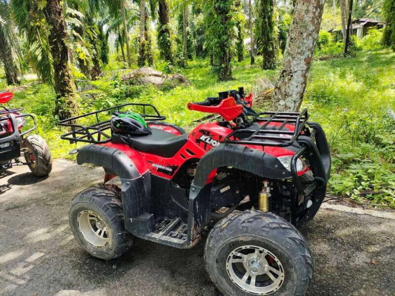 Krabi : ATV Jungle adventure with round trip transfer - Exploring the Krabi ATV Jungle Adventure