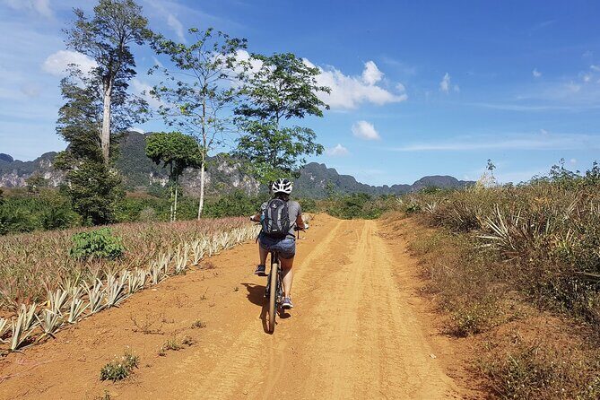 Krabi Countryside Eco Cycling Tour - Multiple Trails - A Deep Dive into the Krabi Countryside Eco Cycling Tour