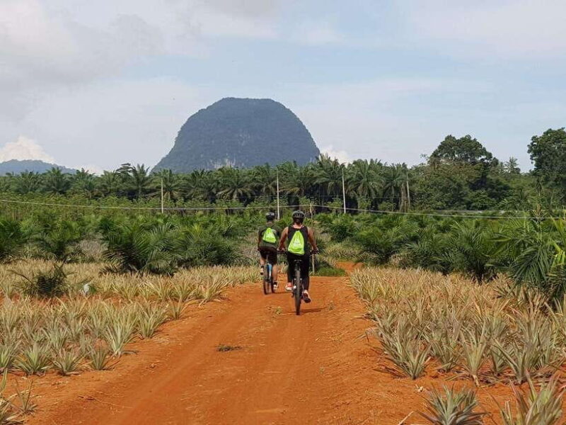 Krabi: Eco-Cycling Tour with Nature, Culture, and Fun - Final Thoughts