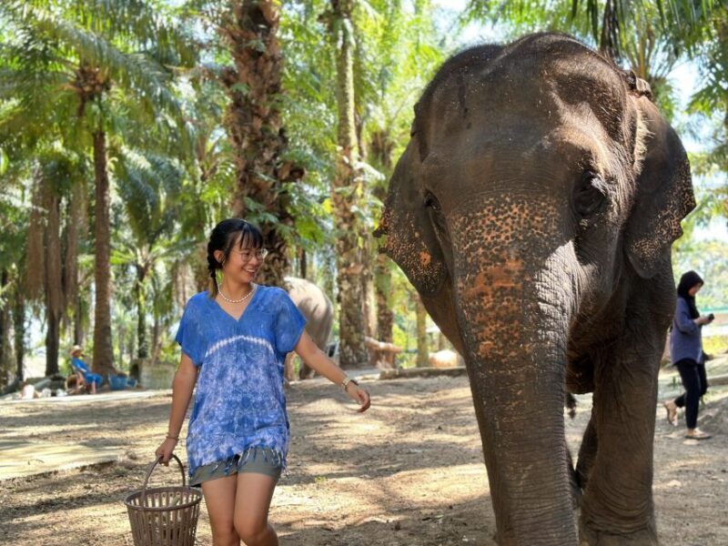 Krabi: Elephant Bathing Session at Krabi Elephant Shelter - The Experience in a Nutshell