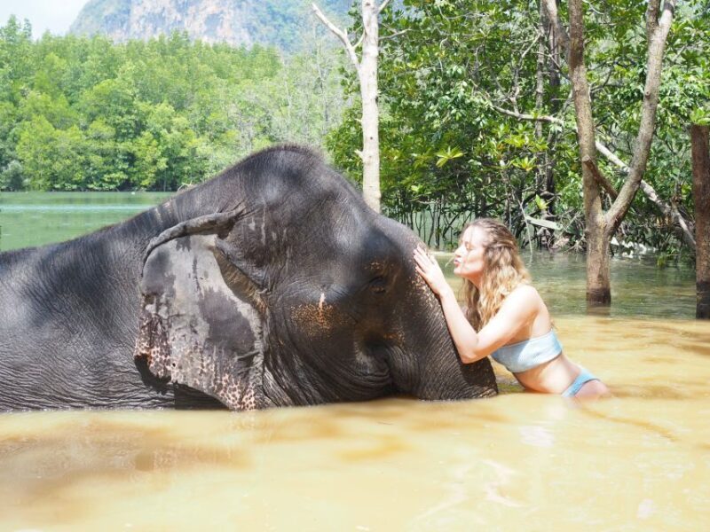 Krabi: Elephant Bathing Session at Krabi Elephant Shelter - The Ethical Dimension