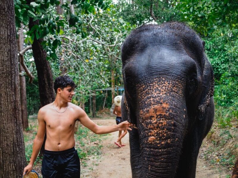 Krabi: Elephant Bathing Session at Krabi Elephant Shelter - FAQ