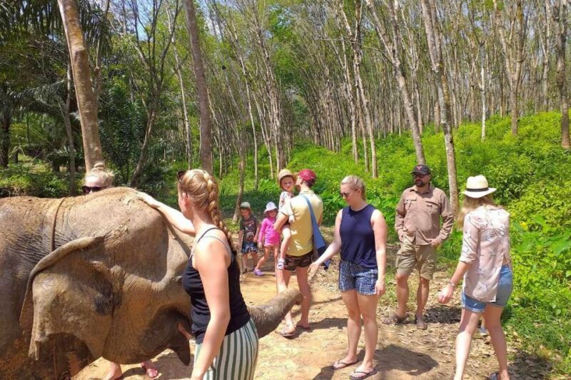 Krabi: Elephant Care House Guided Tour with Hotel Transfers - An In-Depth Look at the Elephant Care House Tour