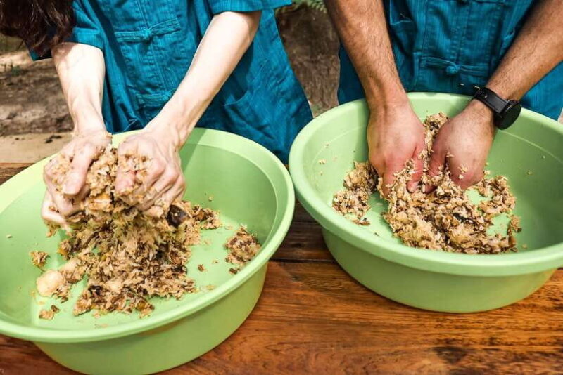 Krabi: Elephant Feeding Program - The Sum Up