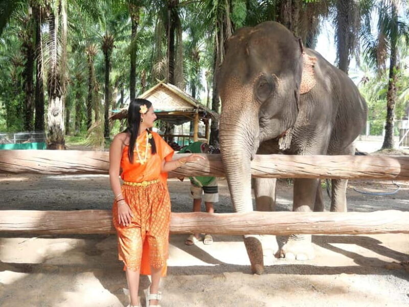 Krabi: Elephant Feeding Program with Traditional Thai Dress - Key Points