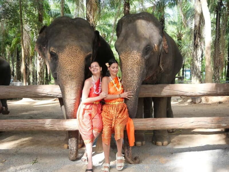 Krabi: Elephant Feeding Program with Traditional Thai Dress - An In-Depth Look at the Krabi Elephant Feeding Program