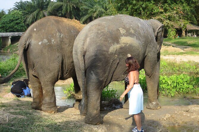 Krabi Elephant Sanctuary and Emerald Pool Adventure - What We Like About This Tour