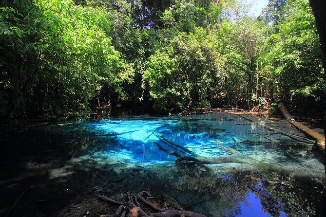 Krabi Elephant Sanctuary and Emerald Pool Adventure - Possible Drawbacks or Considerations