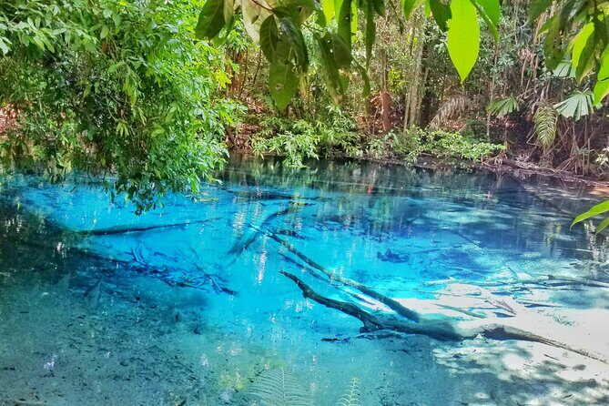 Krabi Elephant Sanctuary and Emerald Pool Adventure - Who Should Consider This Tour?