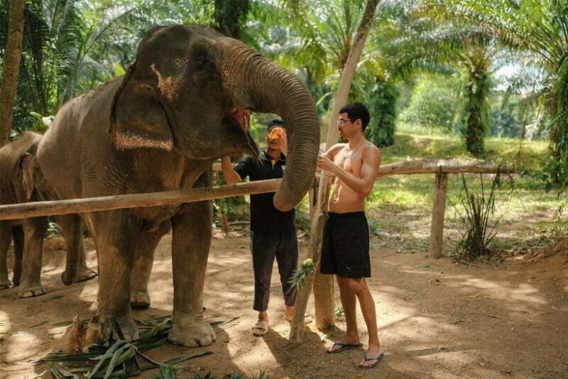 Krabi: Elephant Sanctuary (near Ao Nang) Visit - Exploring the Elephant Sanctuary Experience