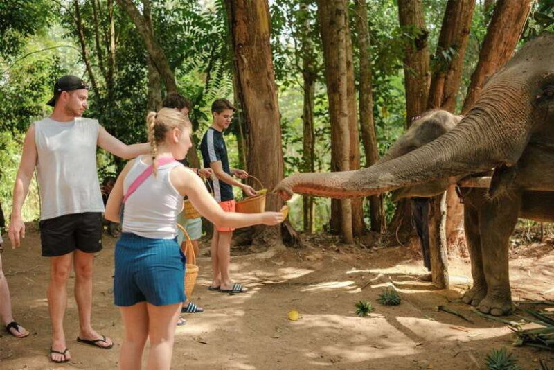 Krabi: Elephant Sanctuary (near Ao Nang) Visit - The Value of a Short but Meaningful Experience