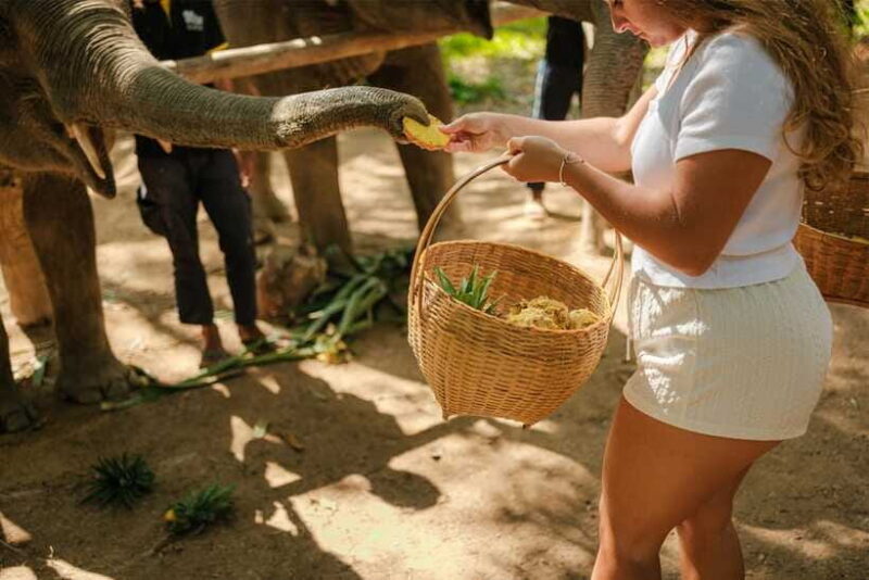 Krabi: Elephant Sanctuary (near Ao Nang) Visit - Who Should Consider This Tour?