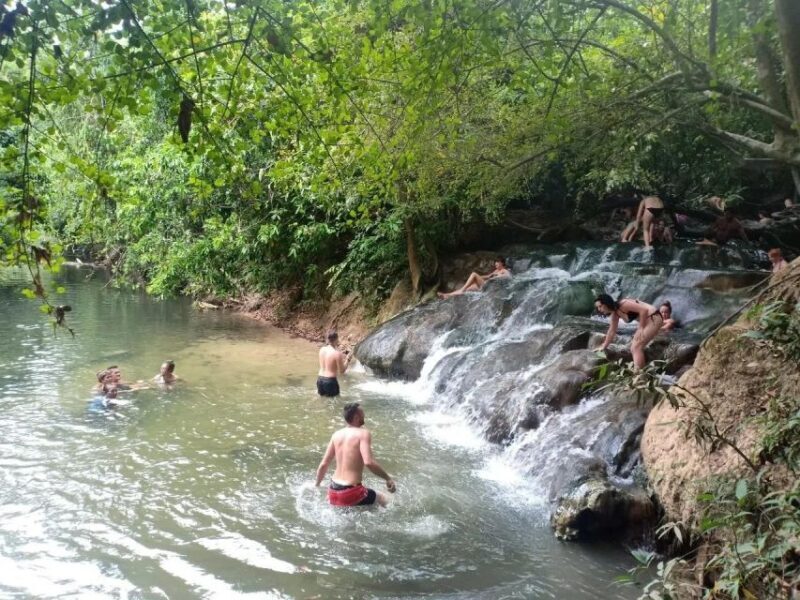 Krabi: Emerald Pool and Hot Springs Waterfall Half-Day Trip - Exploring the Tour in Detail