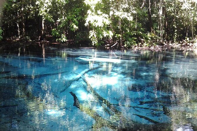 Krabi Emerald Pool, Hot Spring and Tiger Temple - What This Tour Means for You