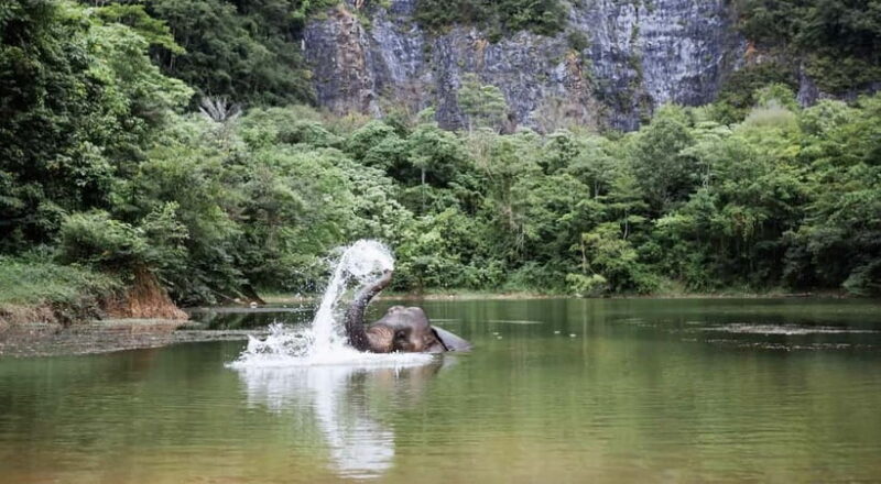 Krabi: Ethical Elephant Sanctuary & Tiger Cave Temple Tour - Key Points