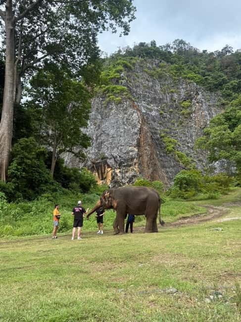 Krabi: Ethical Elephant Sanctuary & Tiger Cave Temple Tour - The Thai Lunch