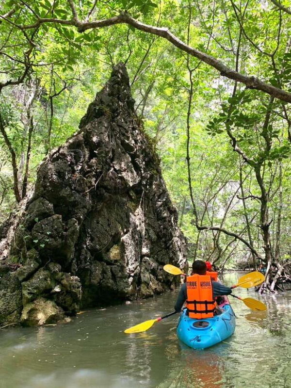 Krabi: Golden Hour Kayaking in Din Daeng's Mangrove Maze - Key Points