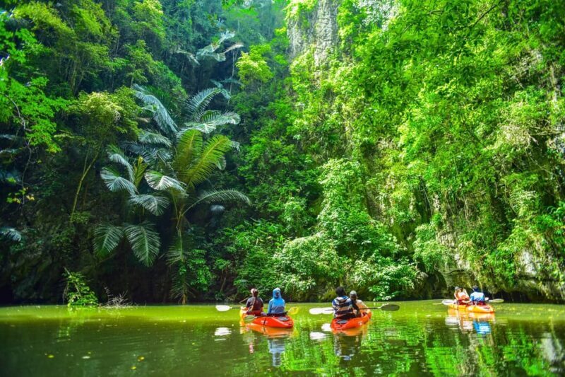 Krabi: Half-Day Bor Thor Mangrove Kayaking Tour - Authentic Feedback from Travelers