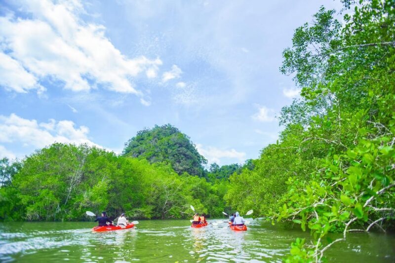 Krabi: Half-Day Bor Thor Mangrove Kayaking Tour - The Sum Up
