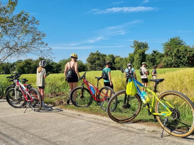 Krabi: Half-Day Koh Klang Culture Cycling Tour with Transfer - Final Thoughts