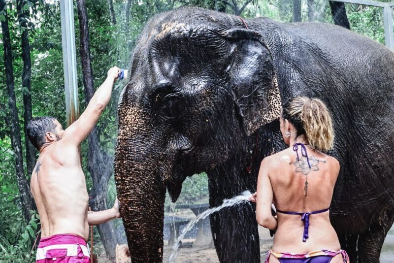Krabi: Highlights Tour with Krabi Elephant Shelter - Key Points