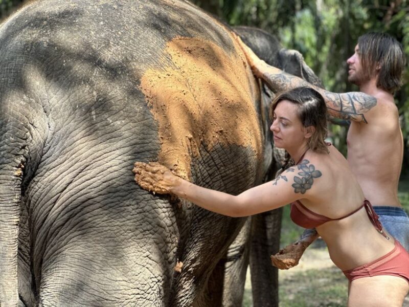 Krabi: Highlights Tour with Krabi Elephant Shelter - An Honest Look at the Krabi Elephant Shelter Tour