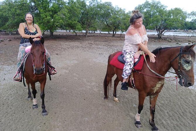 Krabi Horse Riding at The Beach - Who Will Love This Tour?