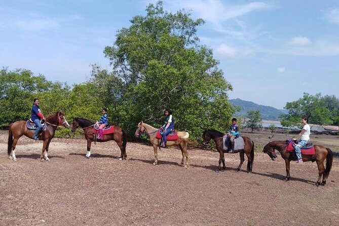 Krabi Horse Riding at The Beach - The Sum Up: Is It Worth It?