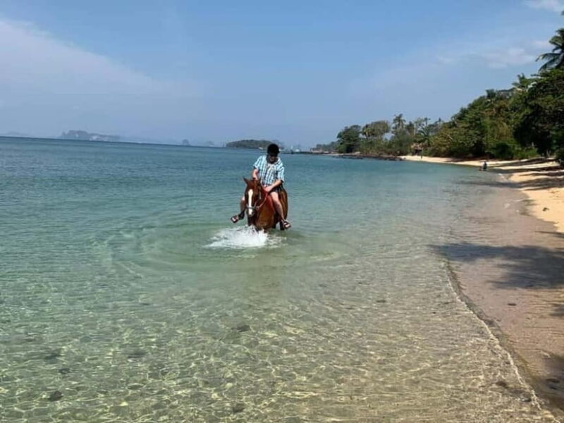 Krabi: Horse Riding On Klong Muang Beach - Key Points
