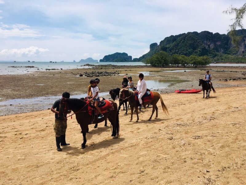 Krabi: Horseback Riding on the Beach - An In-Depth Look at the Krabi Horseback Riding Tour