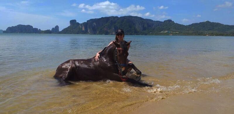 Krabi: Horseback Riding on the Beach - Who Will Love This Tour?