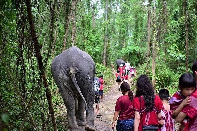Krabi Immersive Elephant Sanctuary Experience - The Sum Up: Is It a Good Choice?