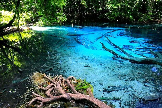 Krabi Jungle Tour with ATV Riding - A Closer Look at the Krabi Jungle Tour Experience