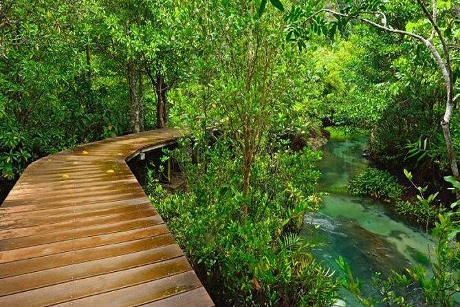 Krabi Jungle Tour:Krabi Hot Springs Waterfall,Emerald Pool and Tiger Cave Temple - Who Will Get the Most Out of This Tour?