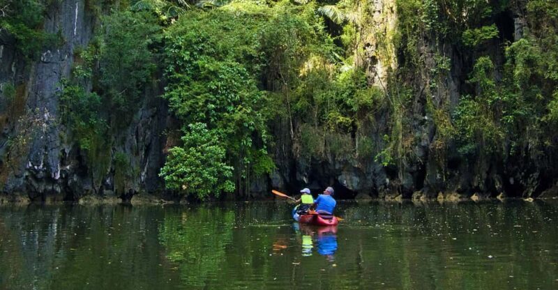 Krabi: Kayak Adventure through Ao Thalane Mangrove Forest - An In-Depth Look at the Ao Thalane Kayak Tour