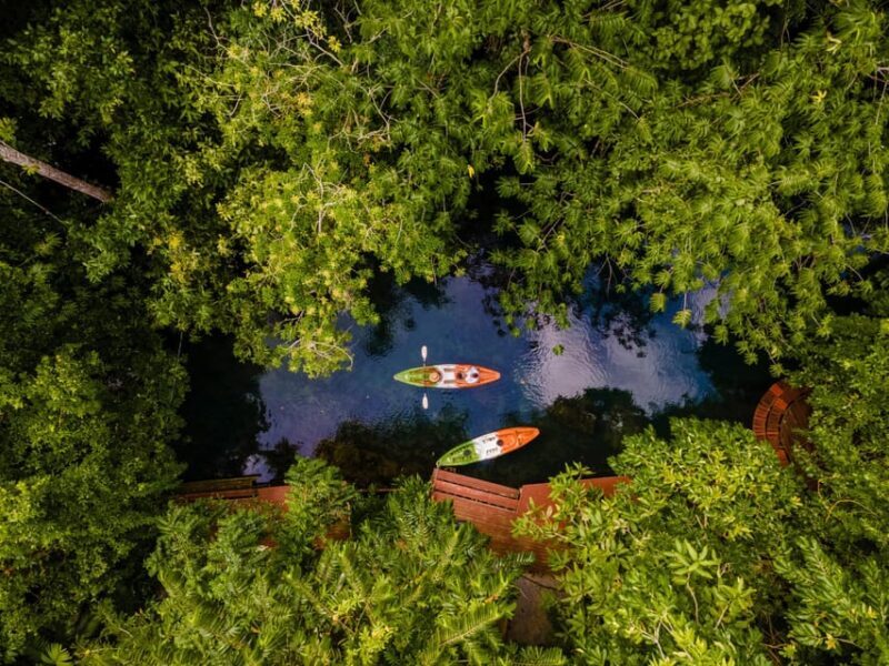 Krabi: Kayak Adventure through Ao Thalane Mangrove Forest - FAQ