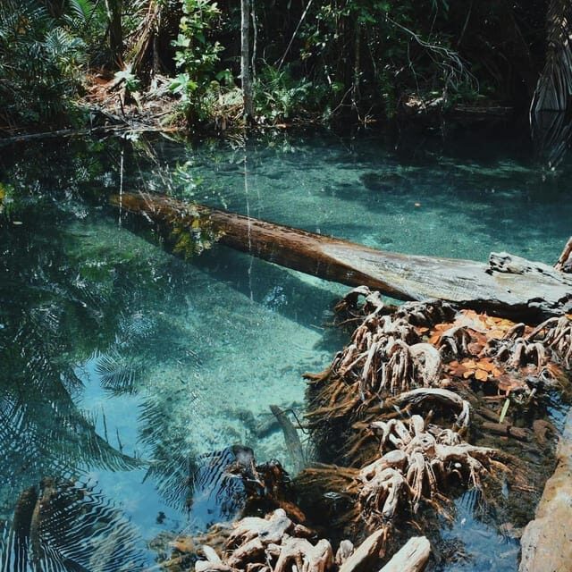 Krabi kayaking and swimming clongrood Tour - Krabi Kayaking and Swimming Clongrood Tour: An Authentic Day on the Water