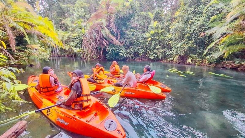 Krabi kayaking and swimming clongrood Tour - Who Should Consider This Tour?