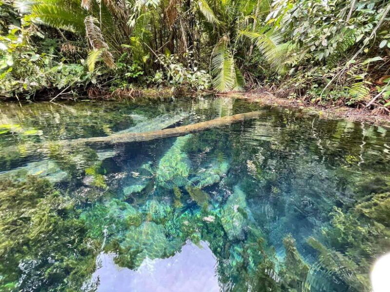 Krabi: Klong Root (Crystal lake) Kayaking tour - Krabi: Klong Root (Crystal Lake) Kayaking Tour — A Deep Dive into Nature