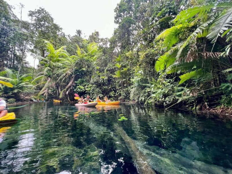 Krabi: Klong Root (Crystal lake) Kayaking tour - Detailed Review: What Makes This Tour Special