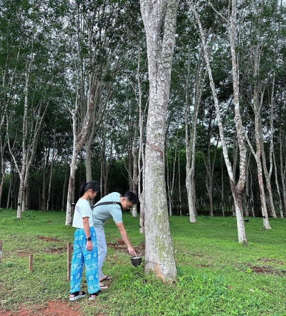 Krabi: Klong Root Kayaking Viewpoint,Fish Feeding and more - Exploring Krabi’s Natural Beauty: What This Tour Offers