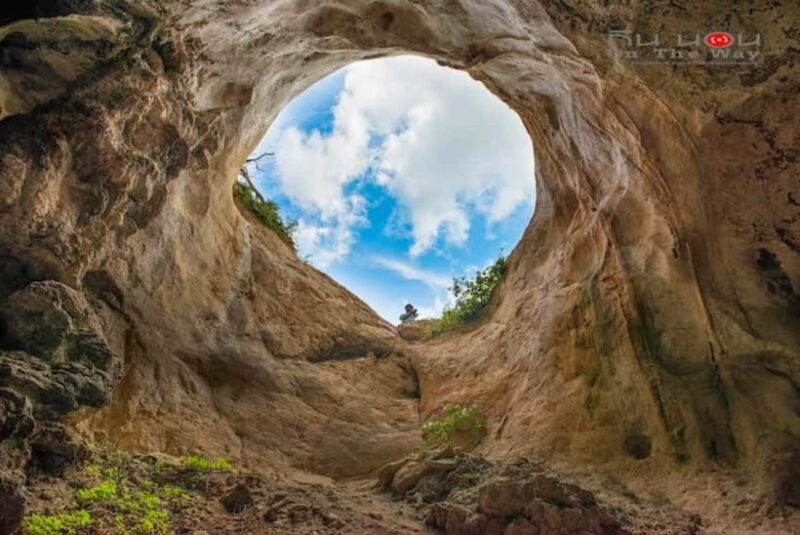 Krabi Mangrove And Khao Khanap Nam Cave half day tour - A Detailed Look at the Tour Experience