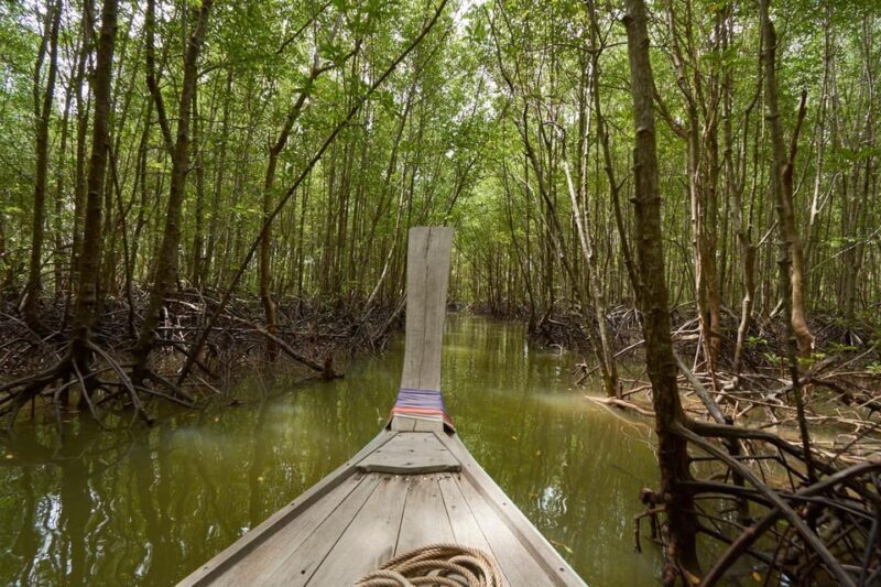 Krabi Mangrove And Khao Khanap Nam Cave half day tour - Who Should Consider This Tour?