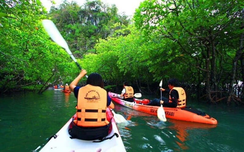 Krabi: Mangrove Kayak Adventure in Boh Tor, Ao Luek - A Closer Look at the Tour Experience