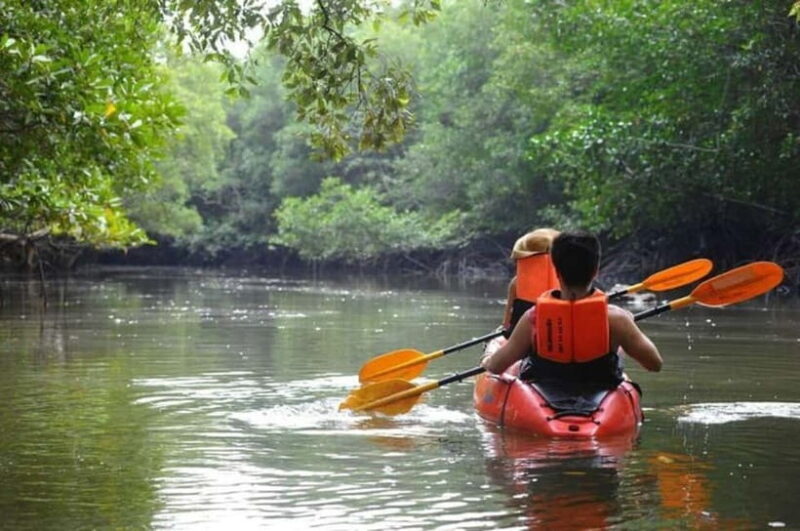 Krabi: Mangrove Kayak Adventure in Boh Tor, Ao Luek - Who Should Consider This Tour?