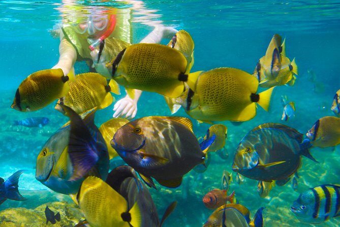 Krabi Nice Sea Snorkeling - Key Points