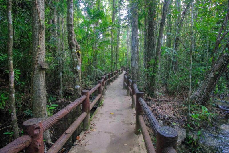 Krabi Outback Explorer with Visit of Tiger Cave Temple - What Does This Tour Offer That Others Might Not?