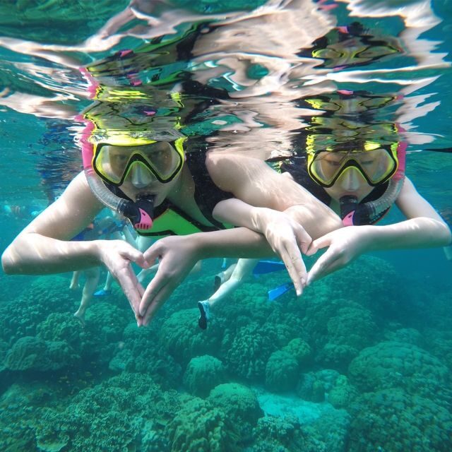 Krabi: Phi Phi Islands Speedboat Tour with Buffet Lunch - FAQs