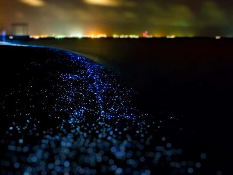 Krabi: Railay Phra Nang & Diamond Cave Sunset Plankton Tour - What to Expect and Practical Tips